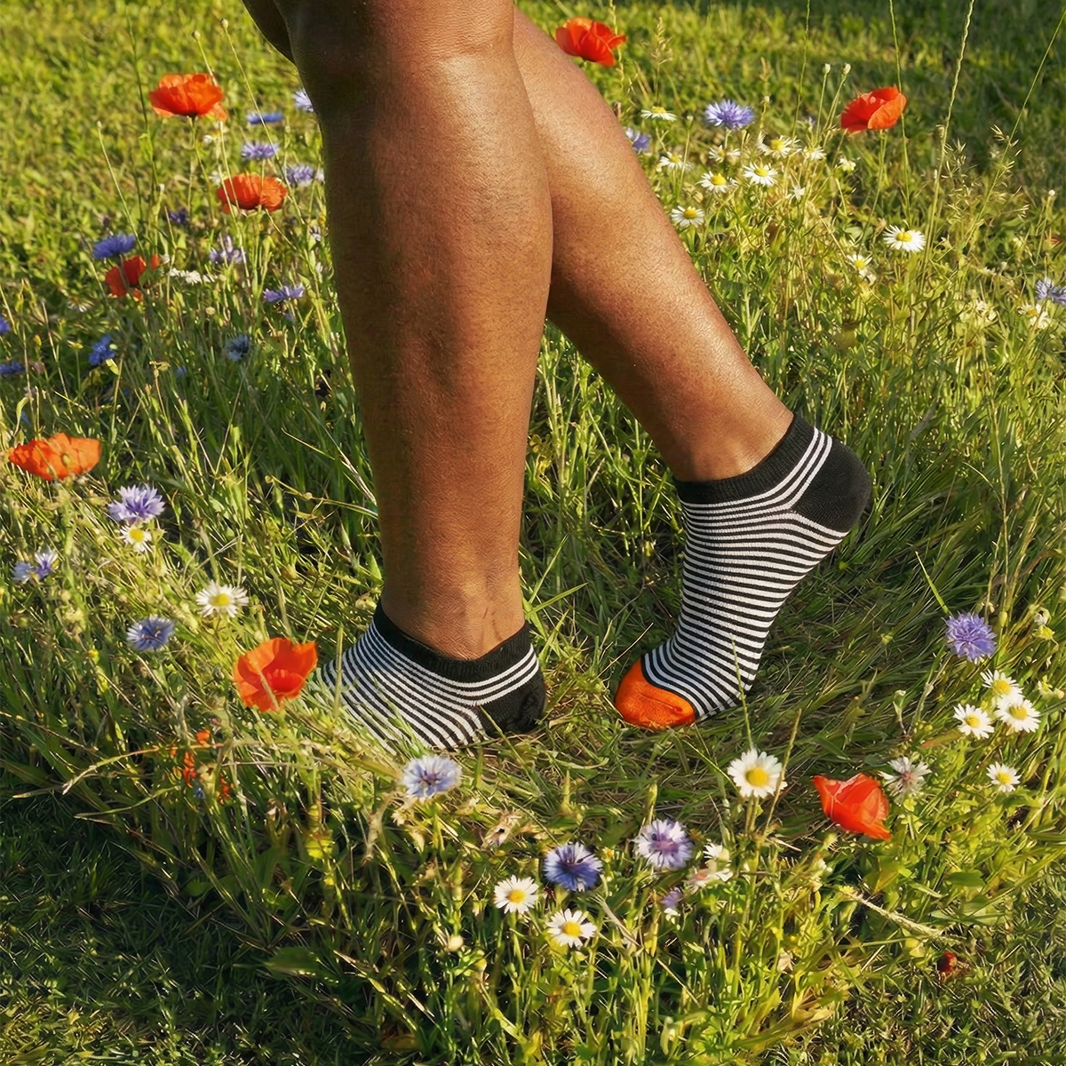 Trainer socks - SNKR collection