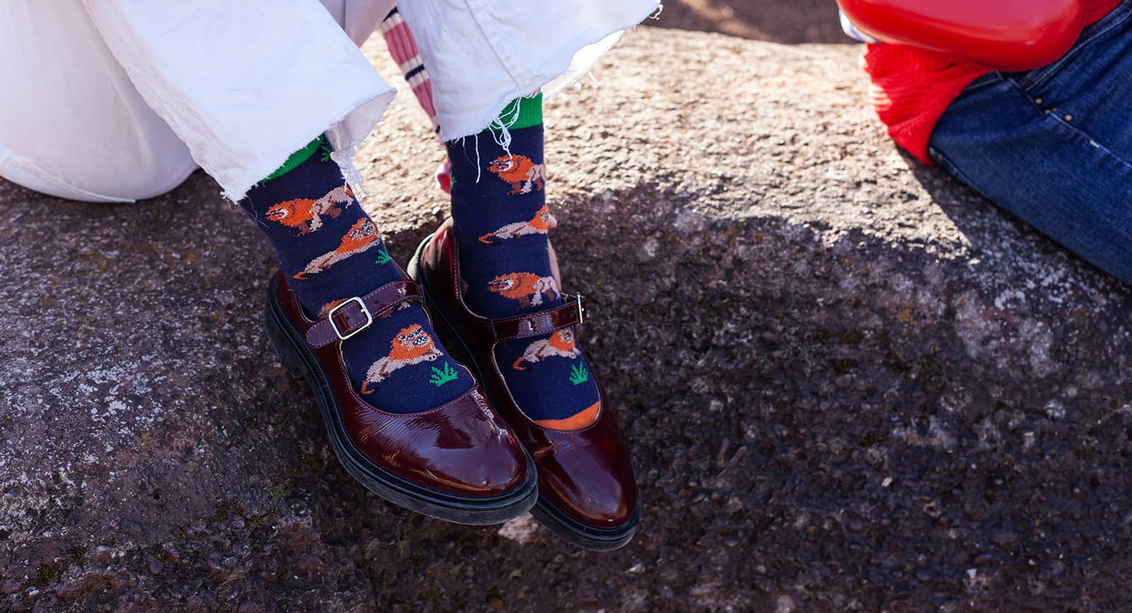 Zoo Zurich x DillySocks