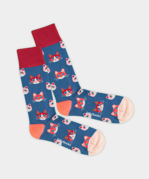 Product image - sky kittens