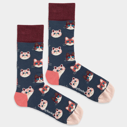 sky kittens