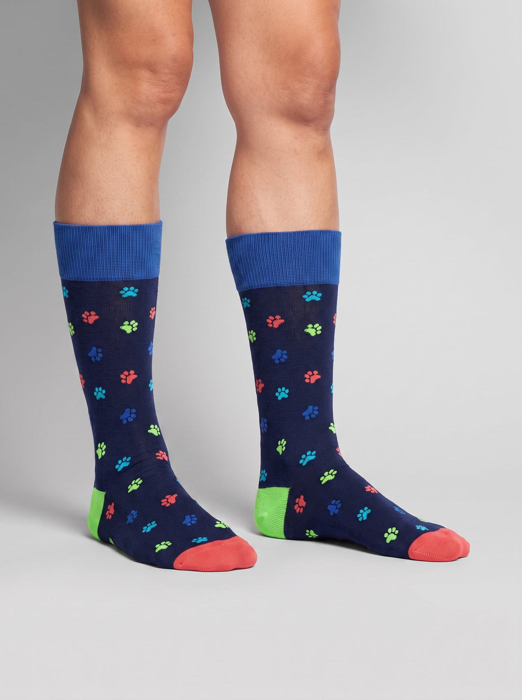 Socken Color Paws von DillySocks