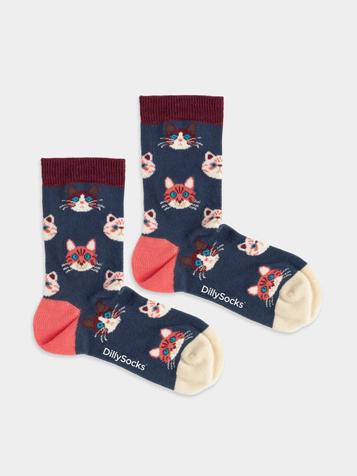 Product image - Lil Sky Kitten