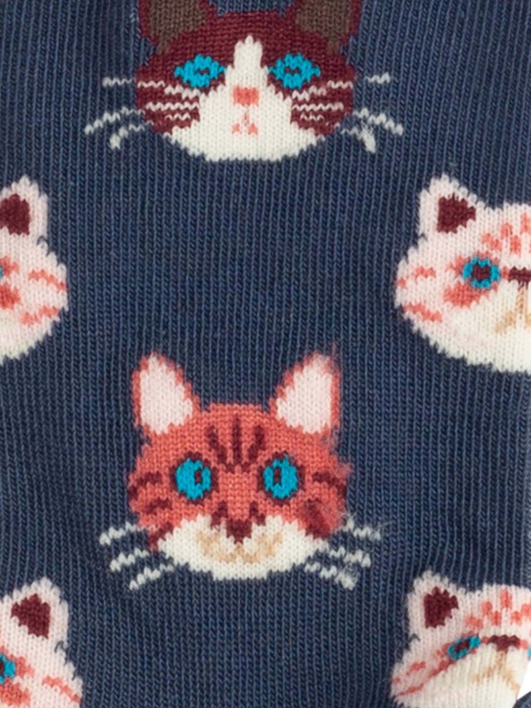 Lil Sky Kitten