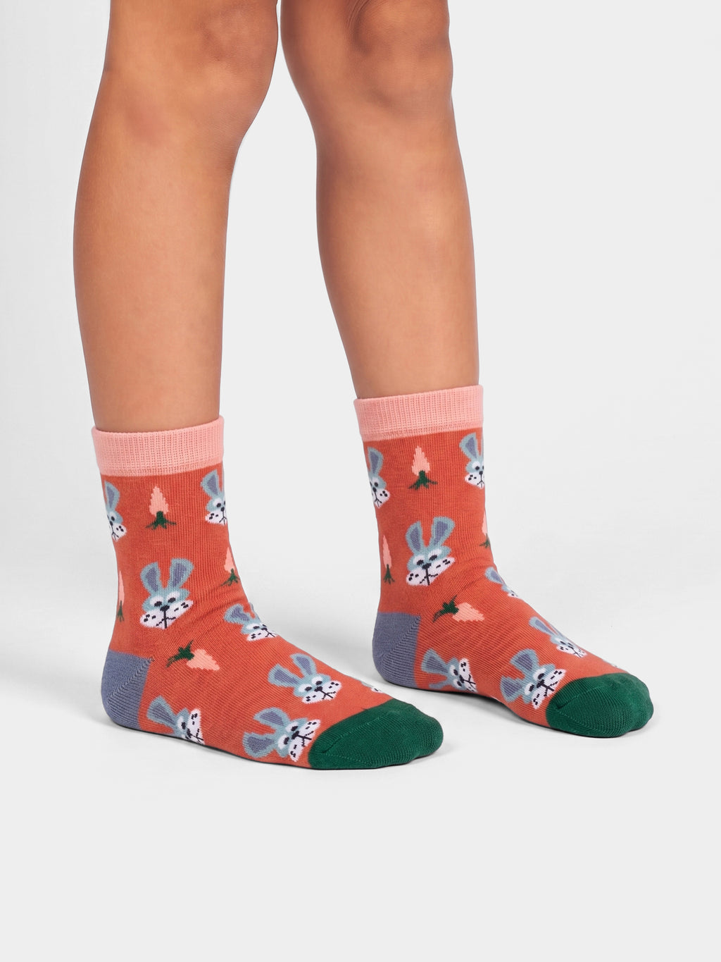 Little Carrot Bunny