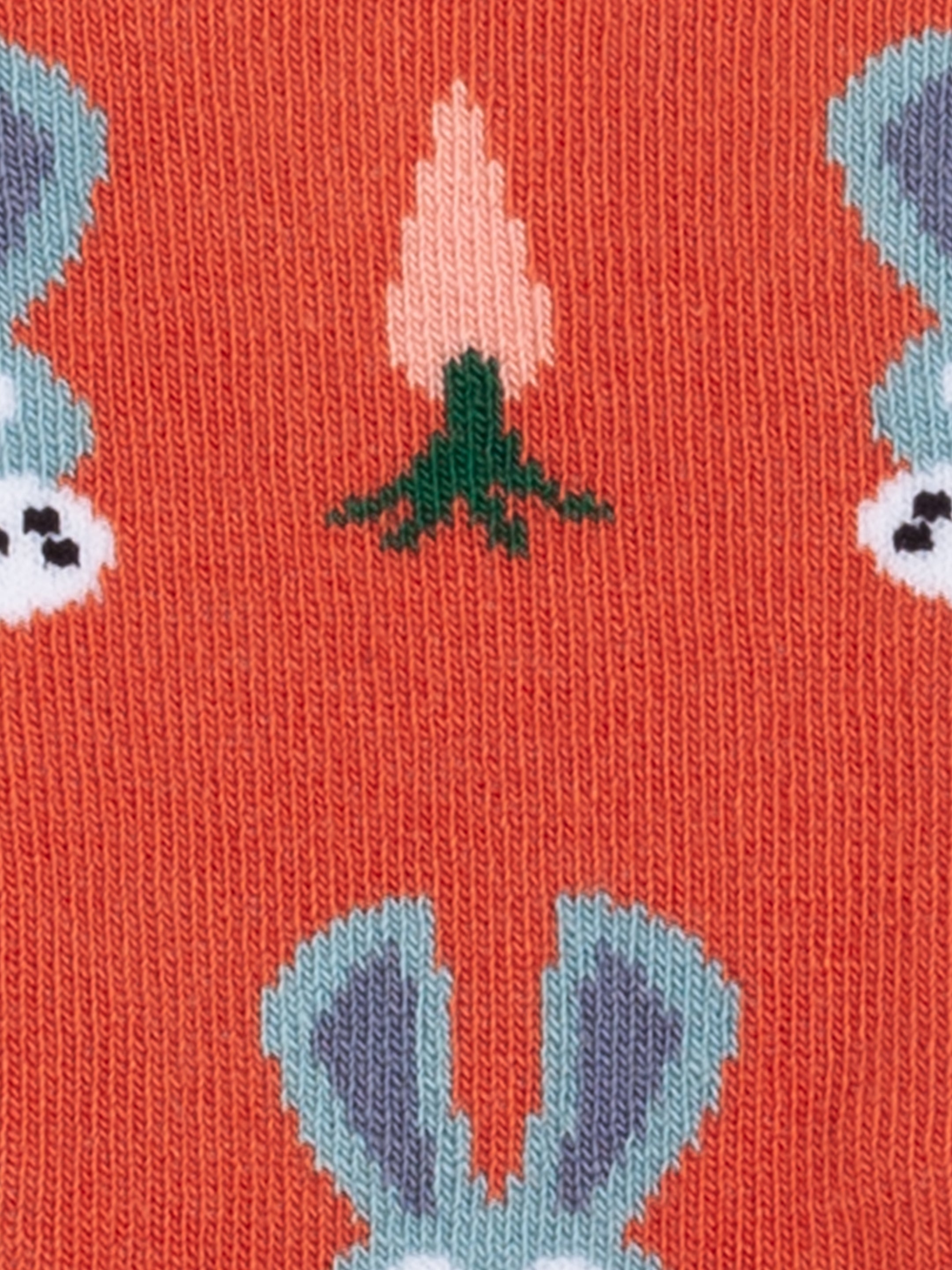Little Carrot Bunny