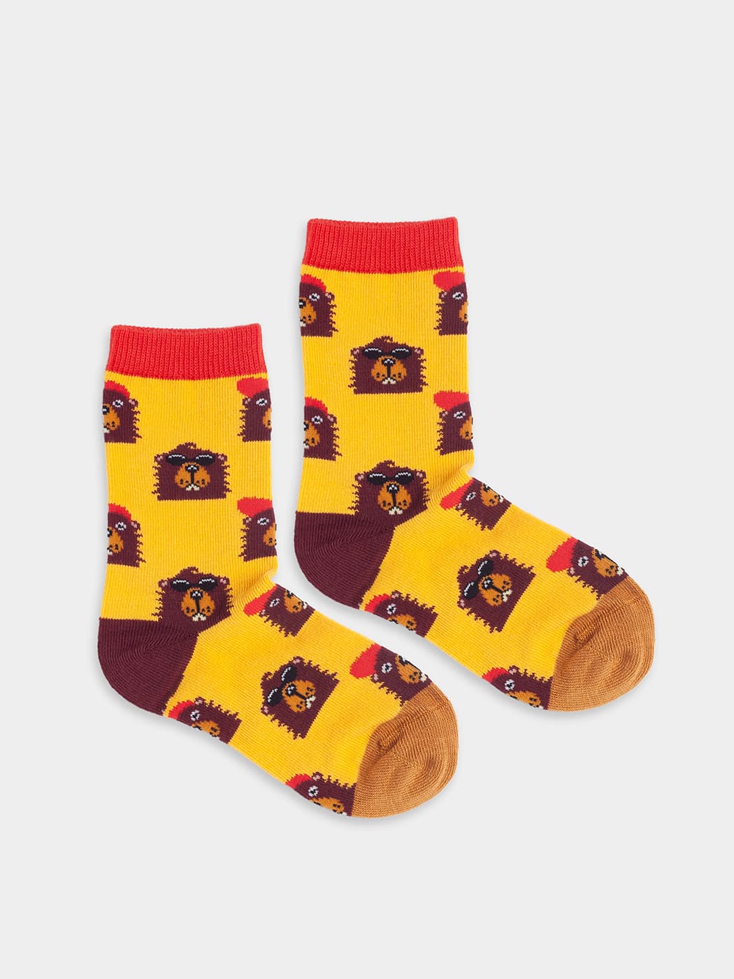 Lil Bievers In The Hood