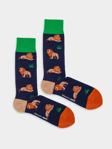Product image - Panthera Lion