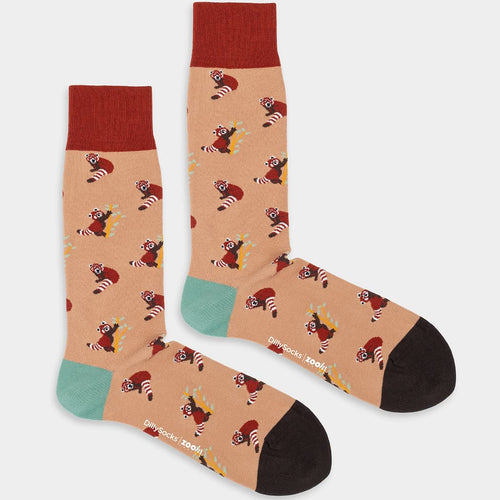 Panthera Roter Panda