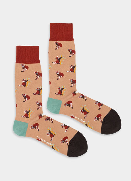 Panthera Roter Panda