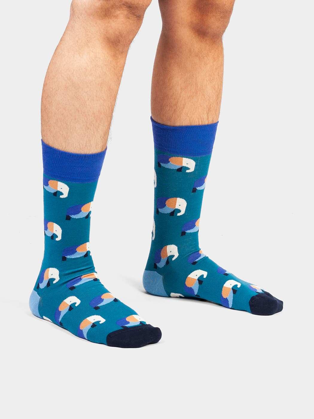 Bunter Elefant mit Socken symbolisiert das Leben Elevated Elephant