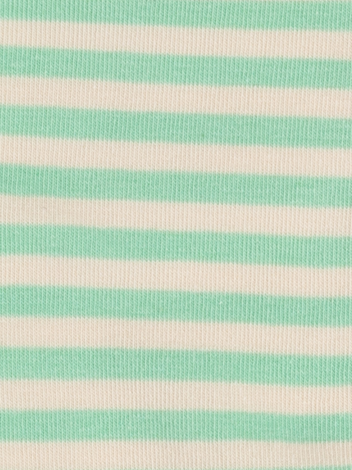 Kingfisher Paradise (Pack of 3)