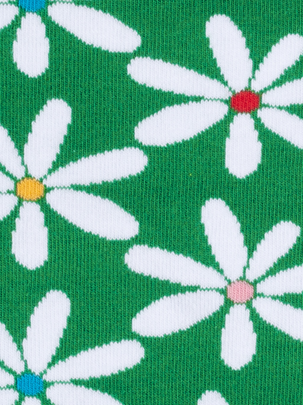 Happy Daisies
