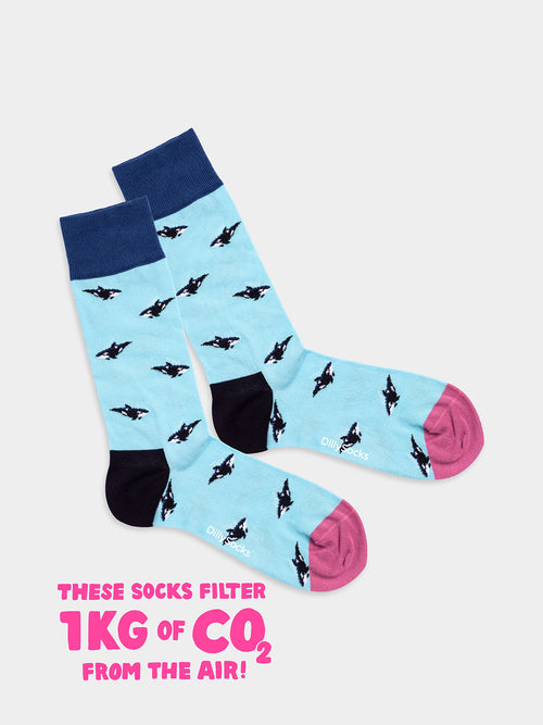 Product image - Orca Fever