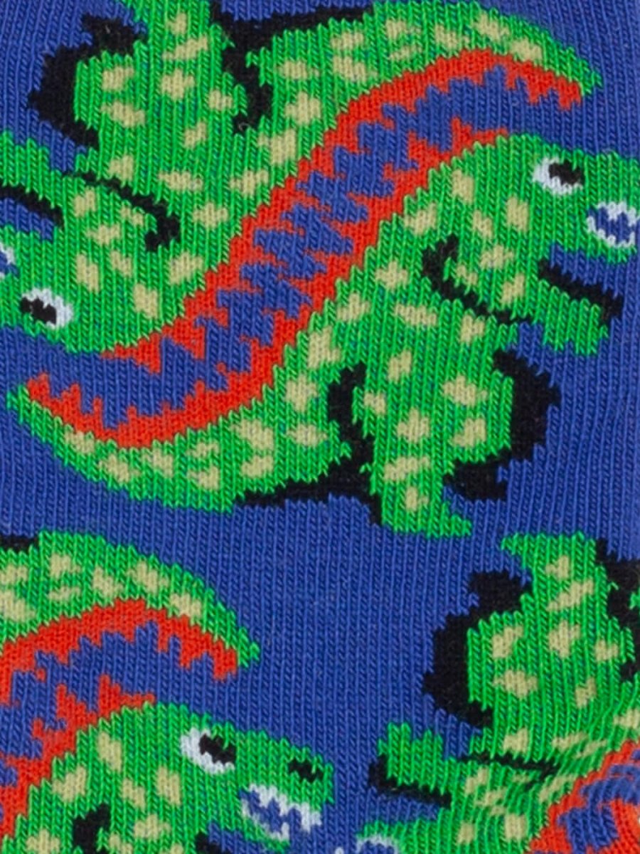 Anti - Rutsch Kindersocken Lil Ur Ex the T Rex Non - Slip von DillySocks