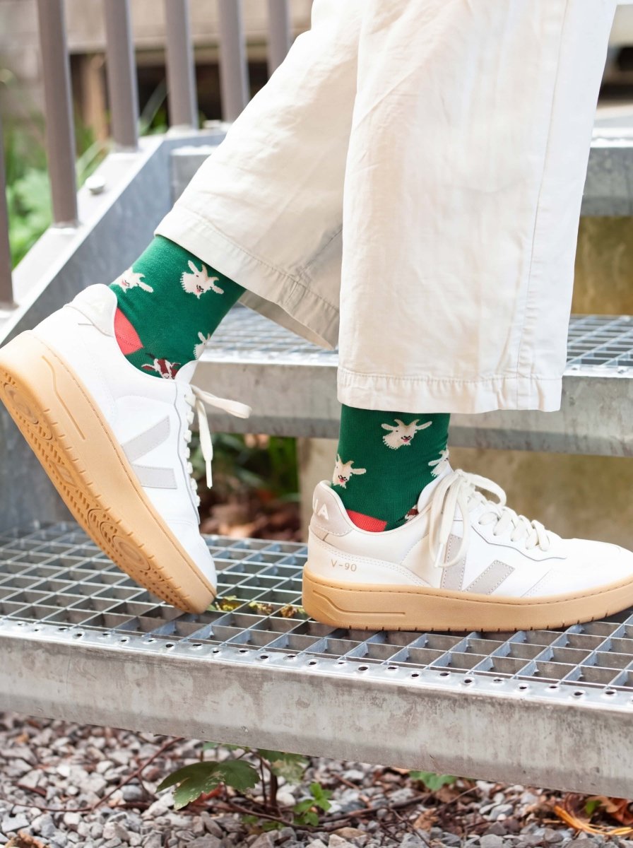 Bunte Socken Alpine Goats von DillySocks
