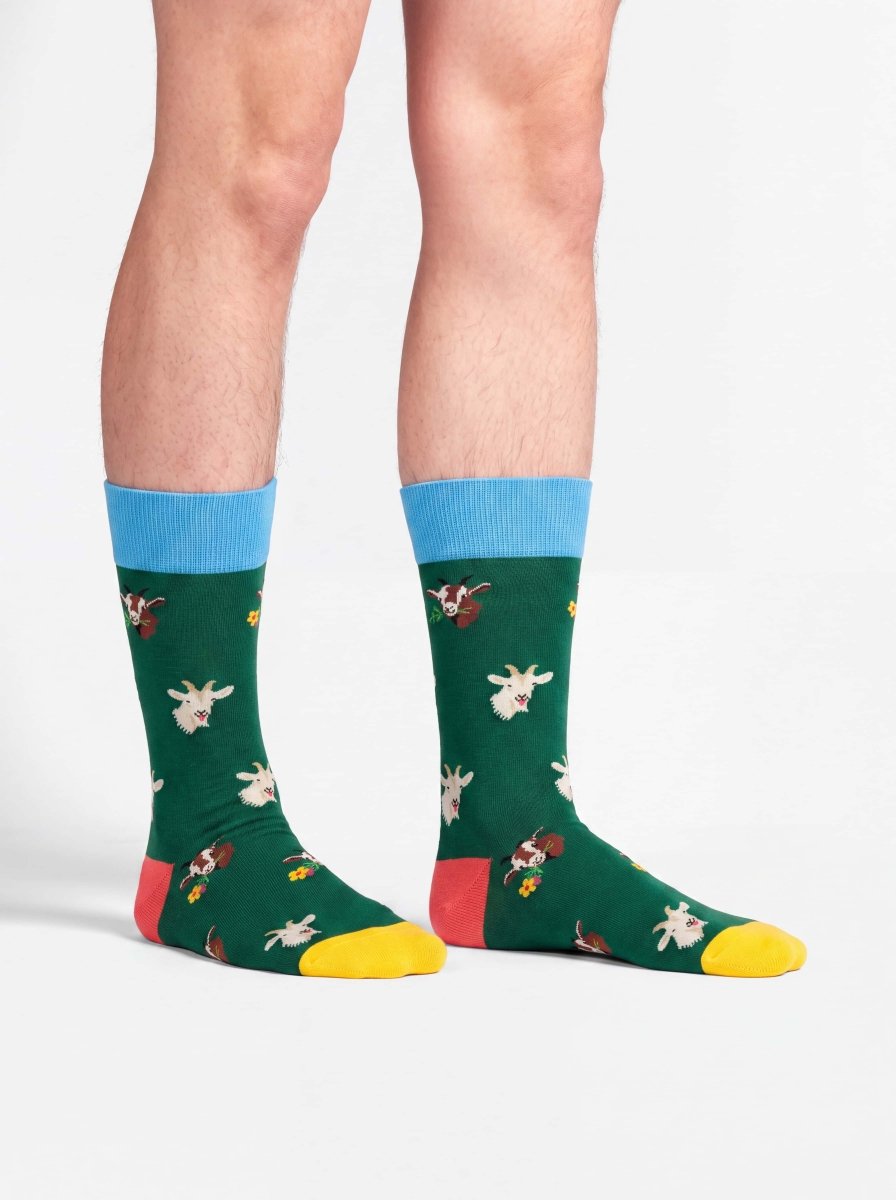 Bunte Socken Alpine Goats von DillySocks