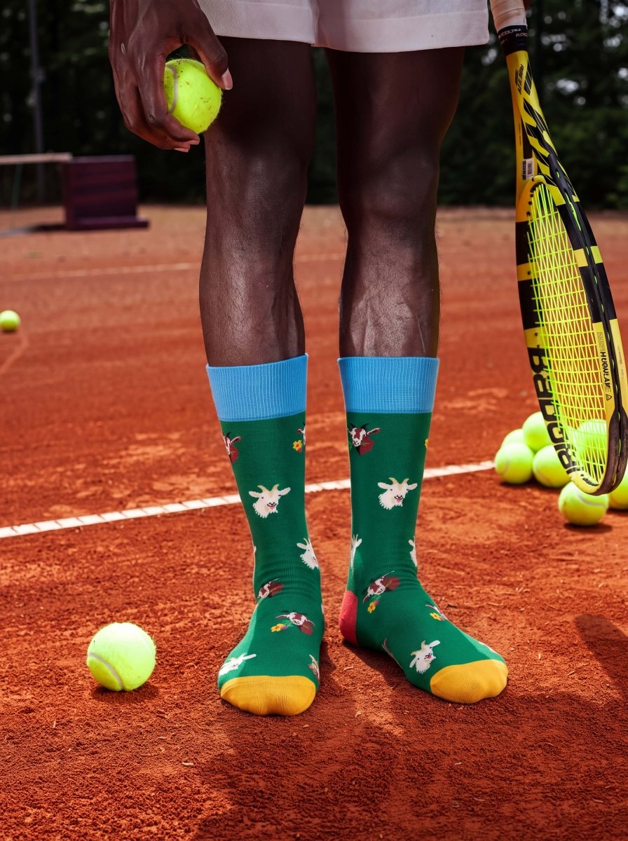 Bunte Socken Alpine Goats von DillySocks
