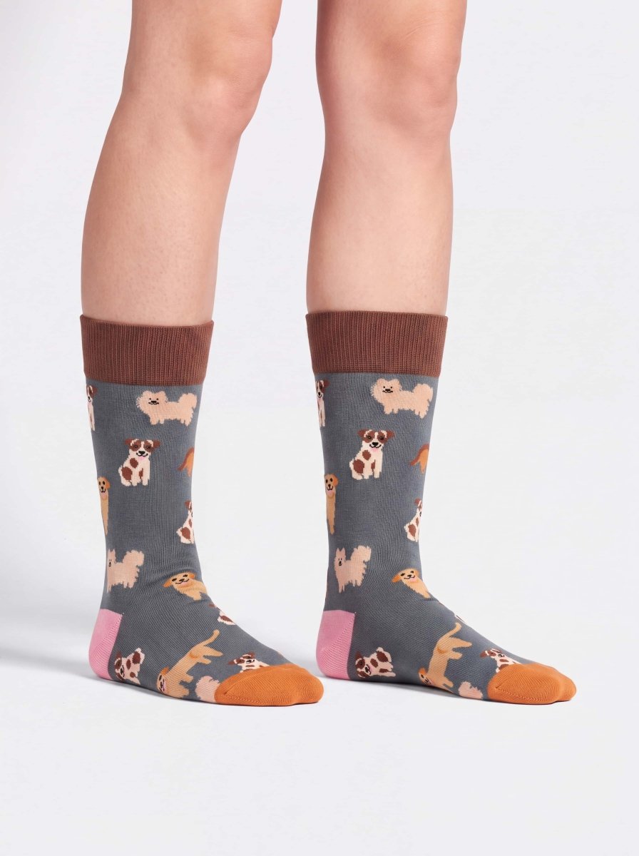 Bunte Socken Doggy Dog von DillySocks