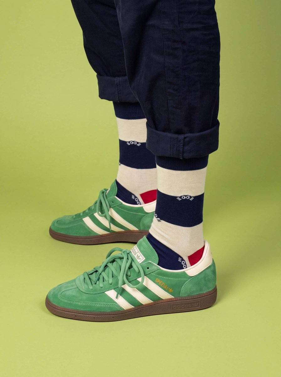 Bunte Socken Harbor Stripes von DillySocks
