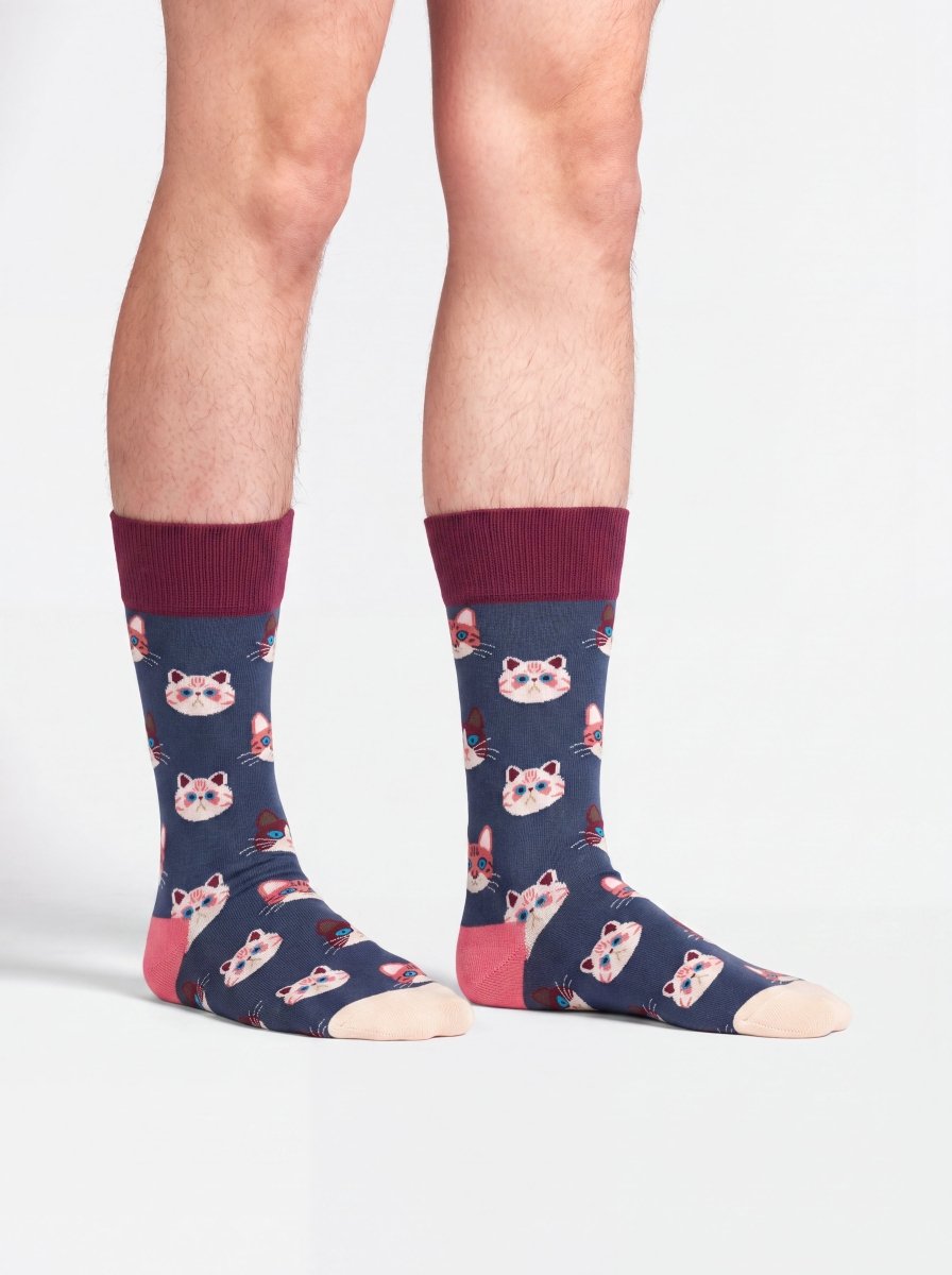 Bunte Socken Sky Kitten von DillySocks