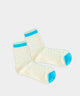 Masked Zebra