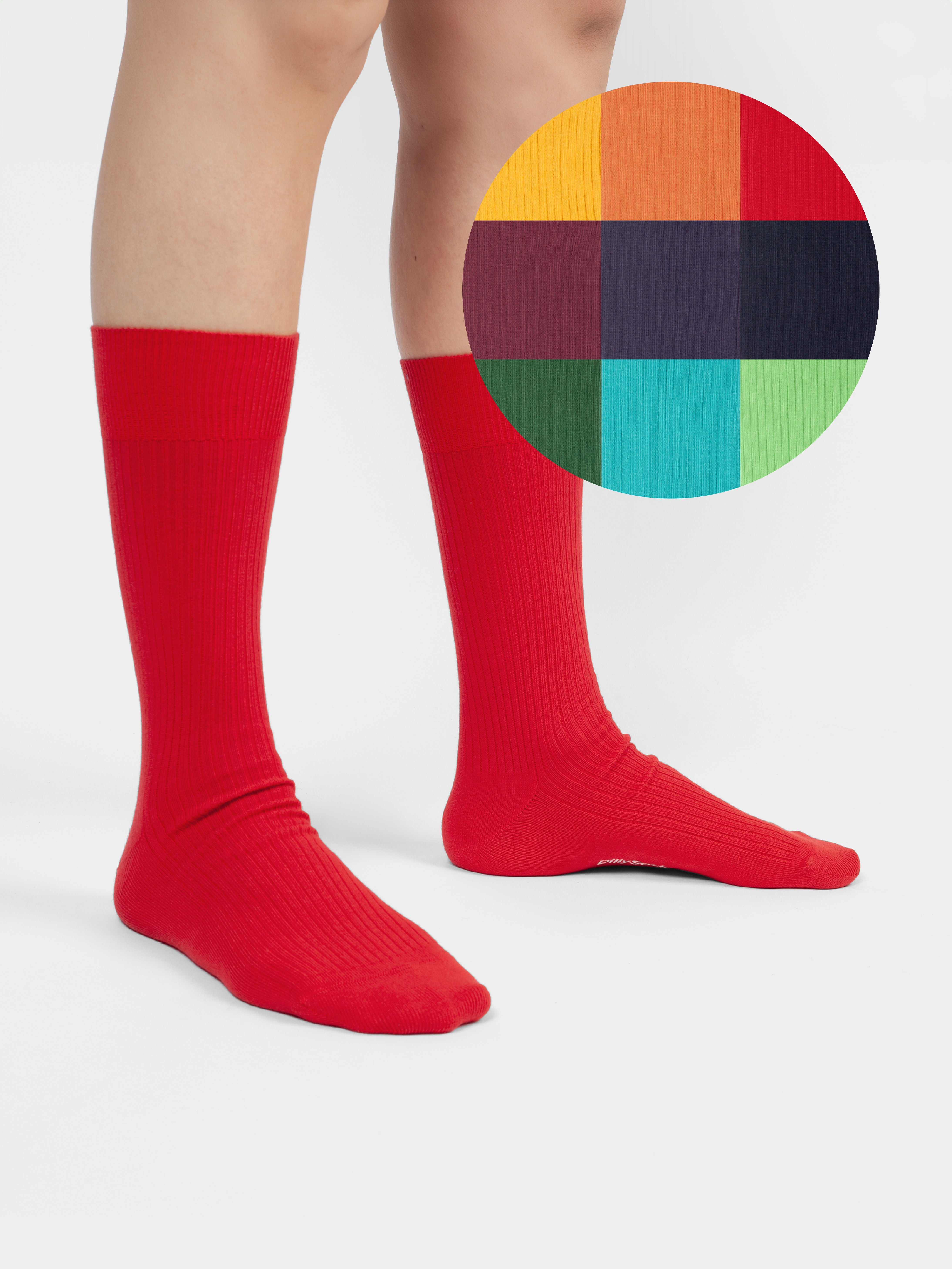 Dilly Surprise subscription - DillySocks
