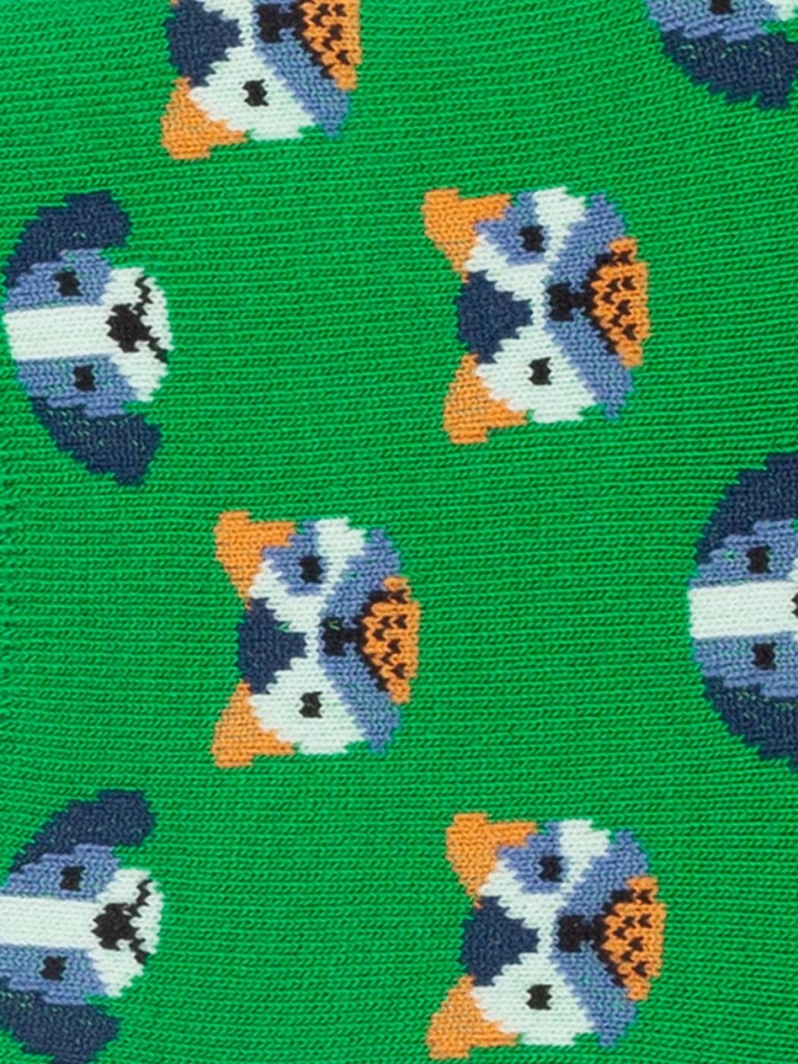 Hidden Dog Portraits