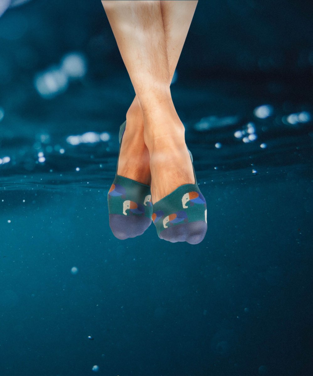 Hidden Elevated Elephant