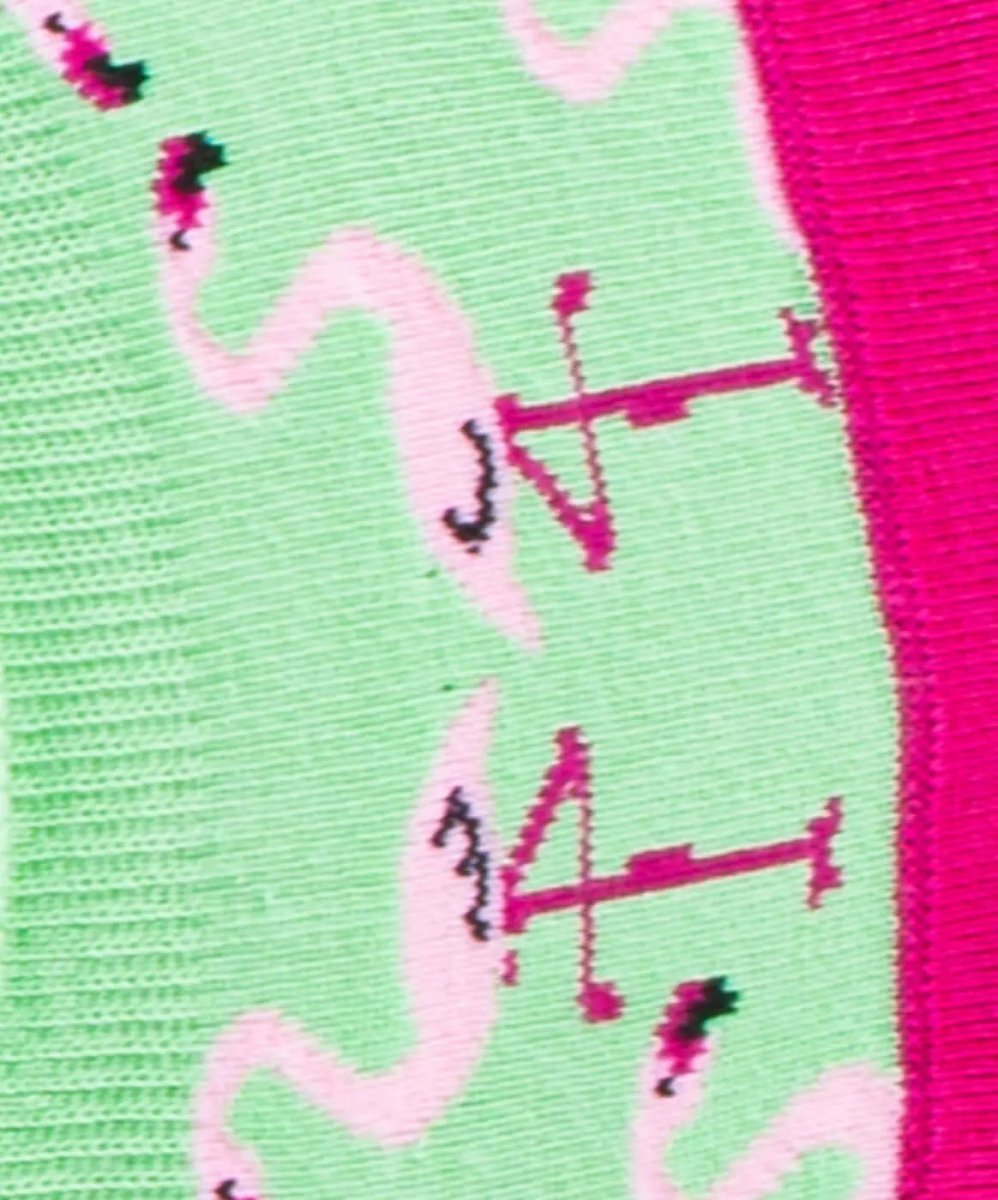 Füsslinge Hidden Flamingo Lawn von DillySocks