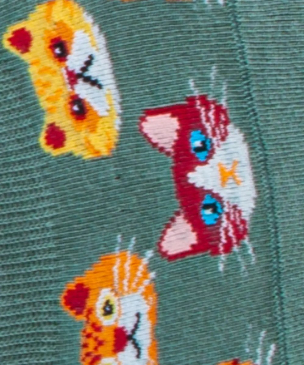 Hidden Kitten