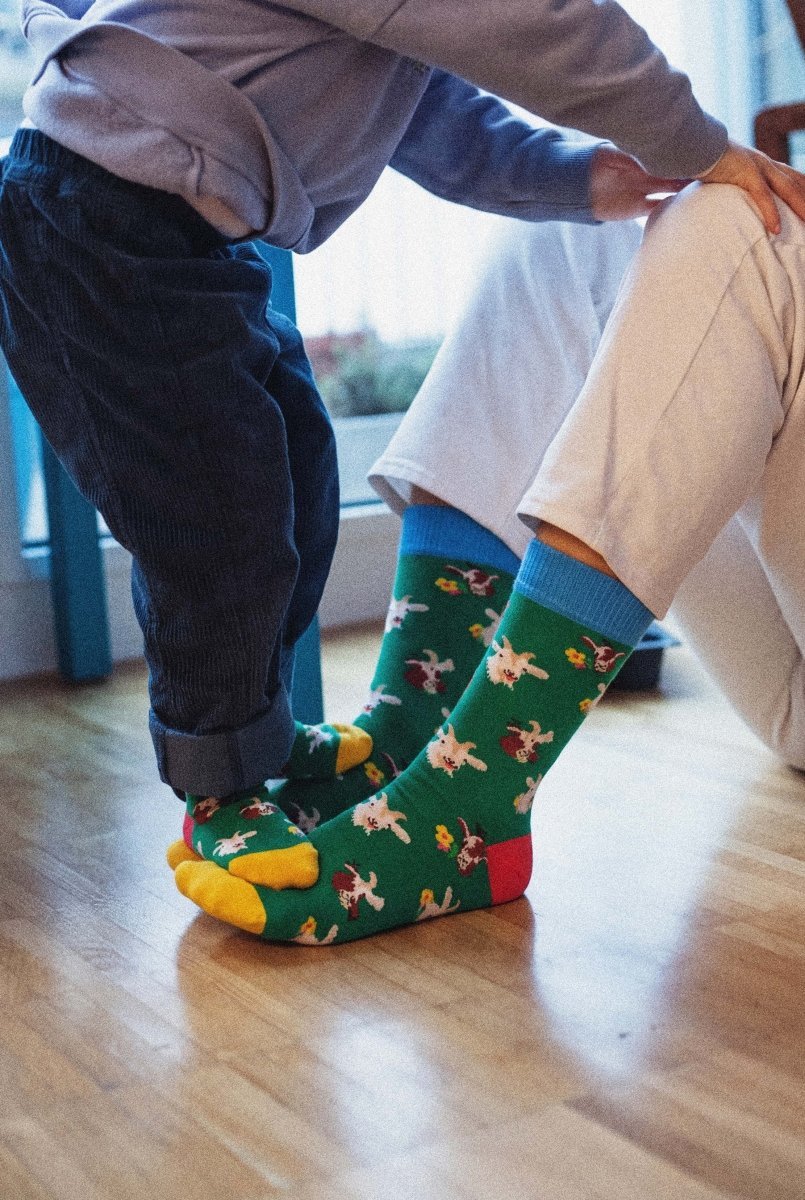 Kindersocken Lil Alpine Goats von DillySocks