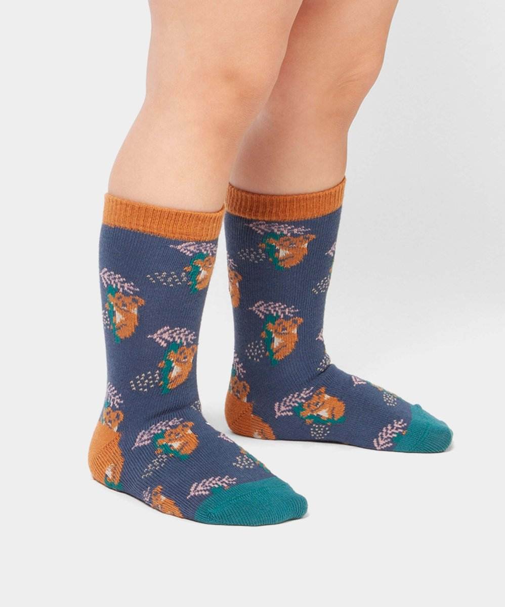 Lil Comfy Koala gemütlich an meinen Füßen