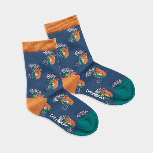 Kindersocken Lil Comfy Koala von DillySocks