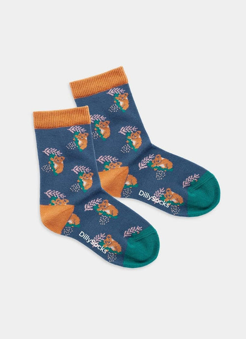 Kindersocken Lil Comfy Koala von DillySocks