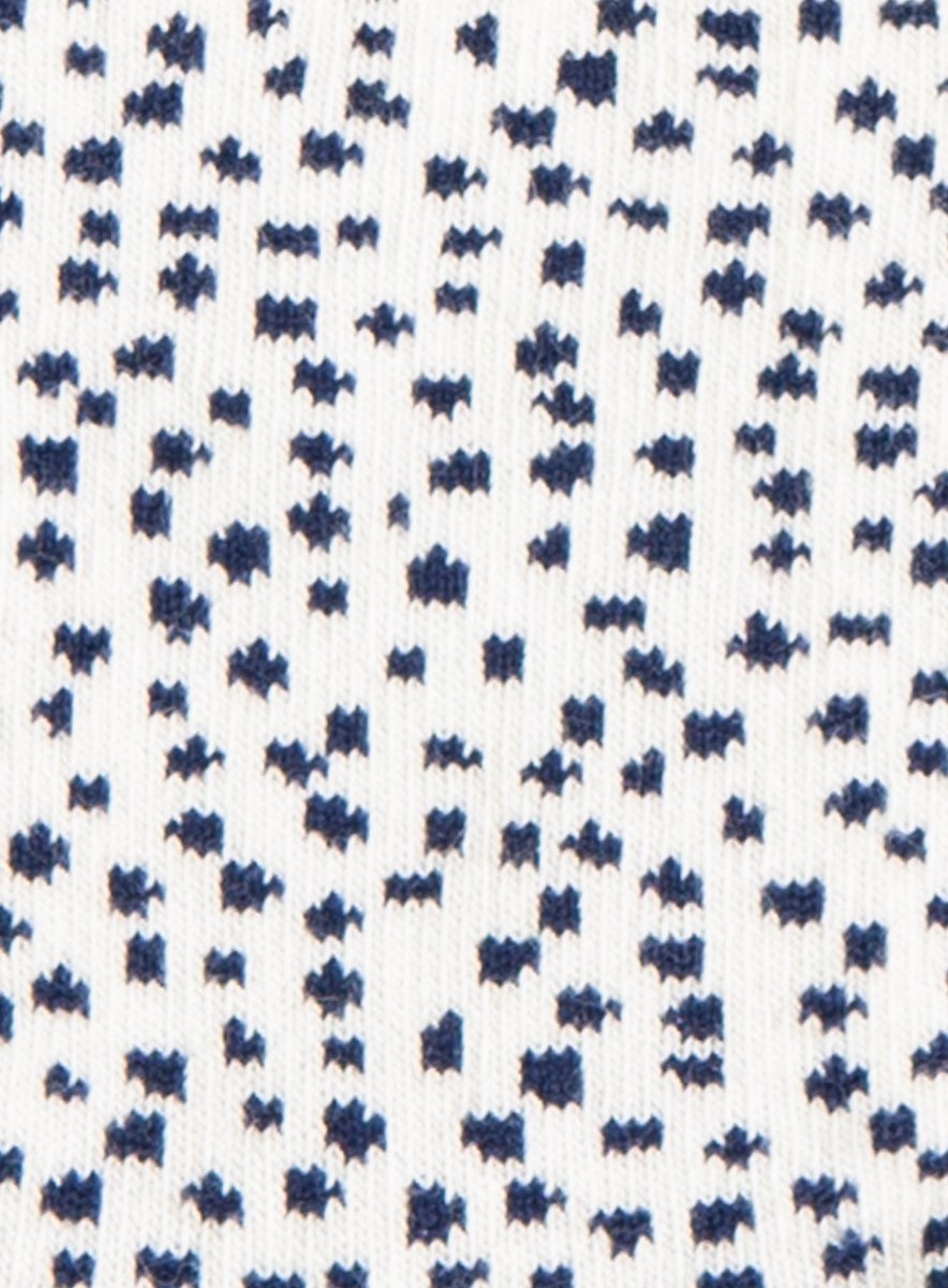 Lil Dalmatian