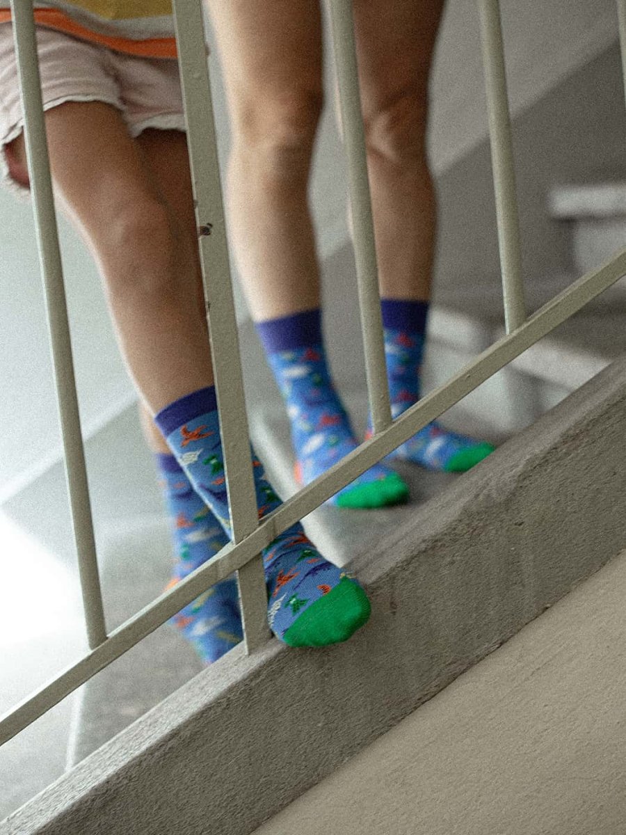 Lil Dinosaurs Superstars