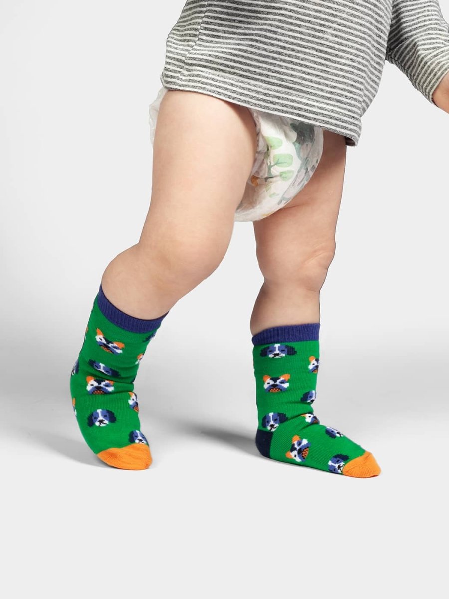 Kindersocken Lil Dog Portraits von DillySocks