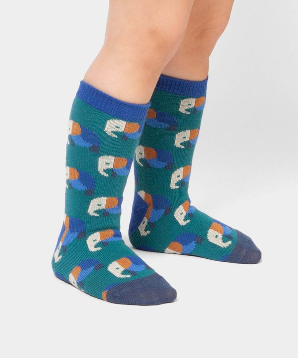 Kindersocken Lil Elevated Elephant von DillySocks