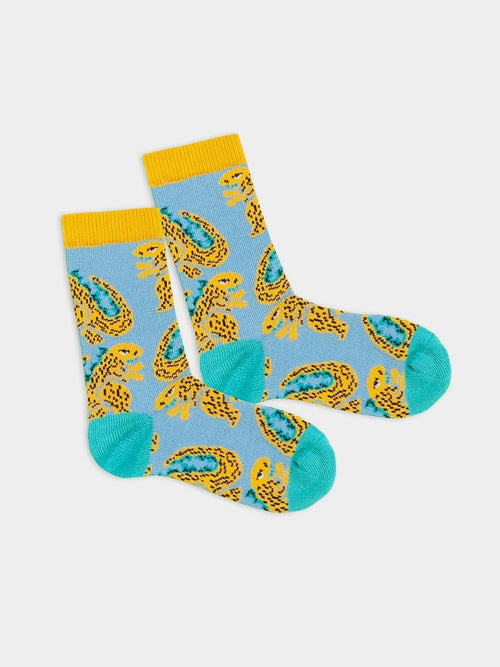 dilly socks Notre chaussettes pour enfants: Lil Friendly Gozilla