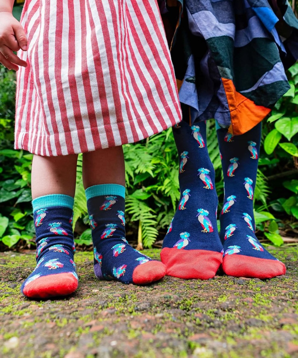 Kindersocken Lil Madagascar Ibis von DillySocks