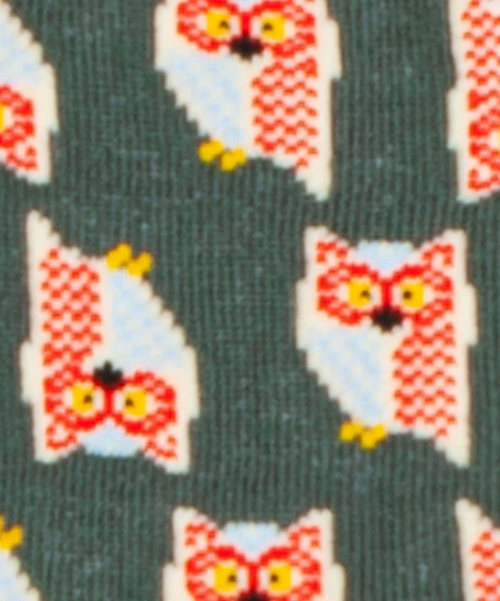 Lil Owlsome