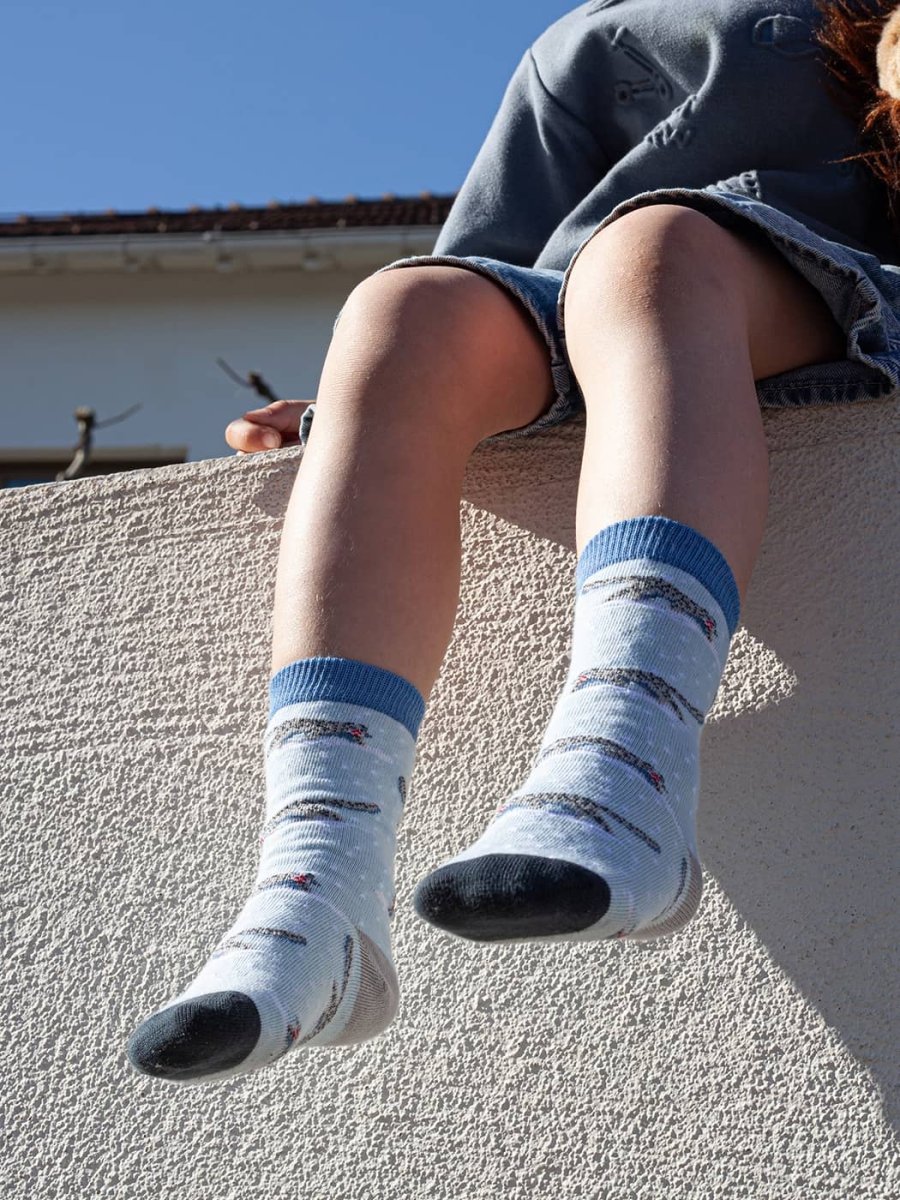 Lil Panthera Schneeleopard