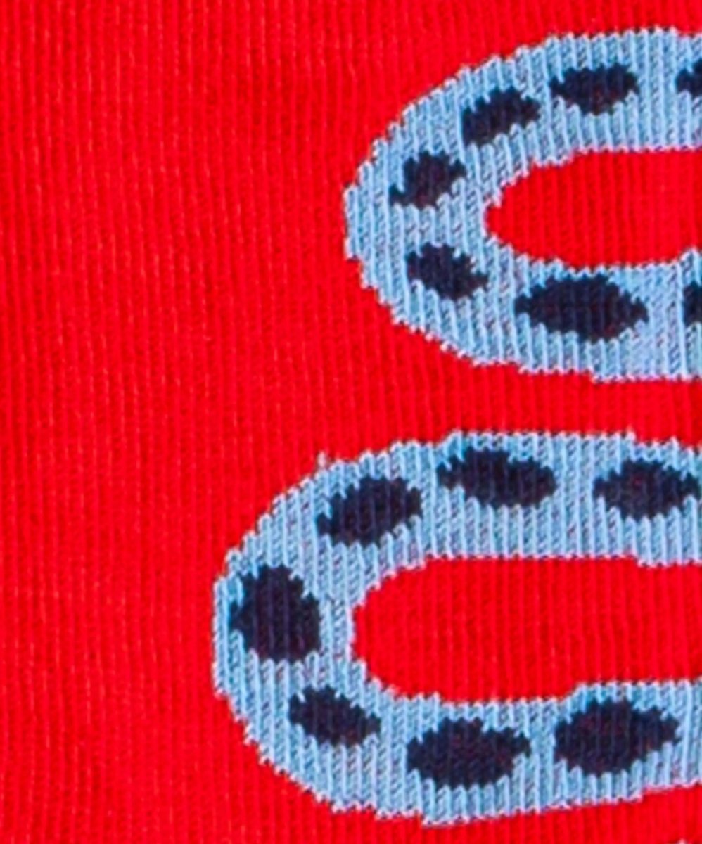 Lil Rattle Snake