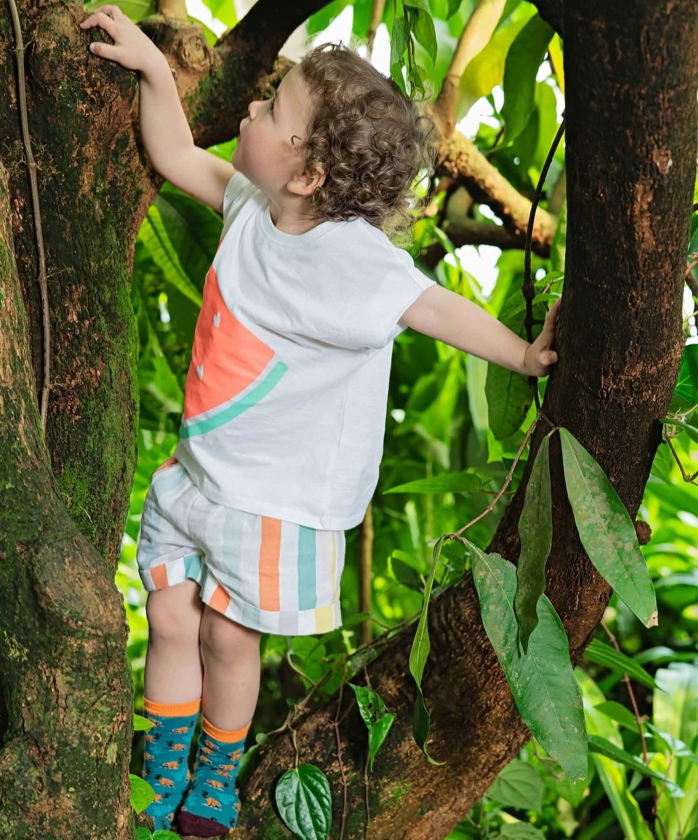 Kindersocken Lil Red Ruffed Lemur von DillySocks