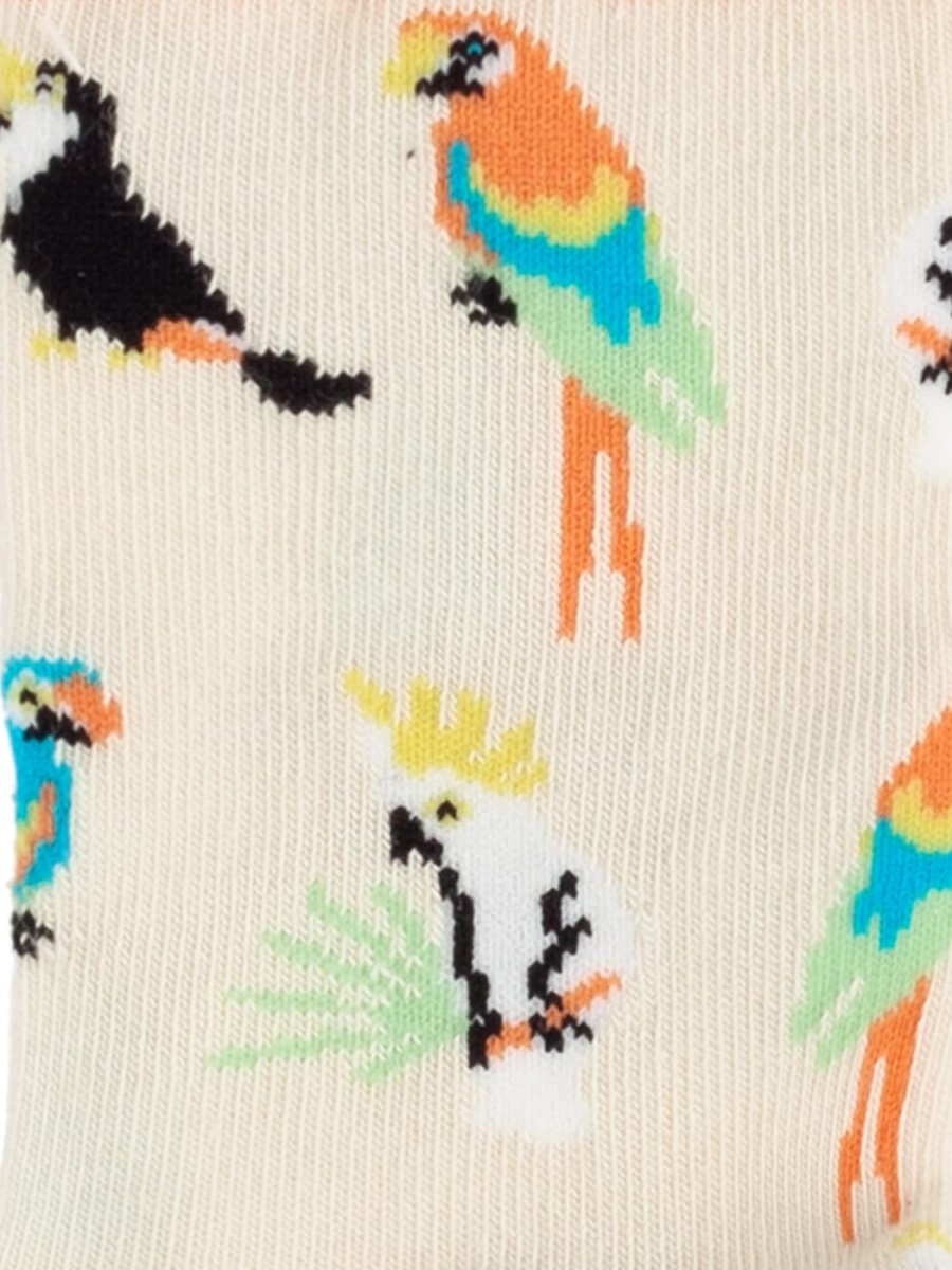 Lil Sand Aviary