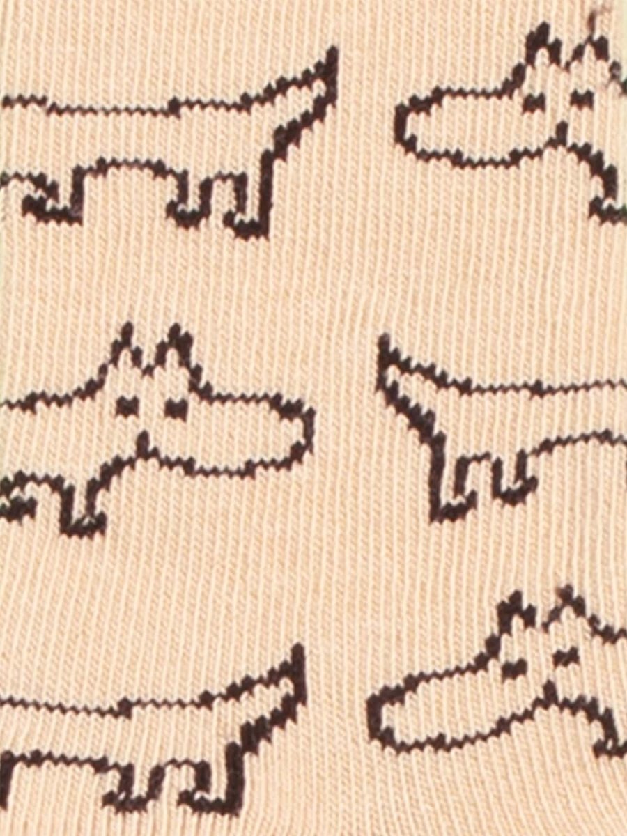 Kindersocken Lil Sausage Dog von DillySocks