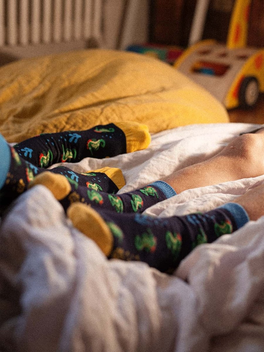 Little Seahorse Story