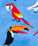 Short Aviary