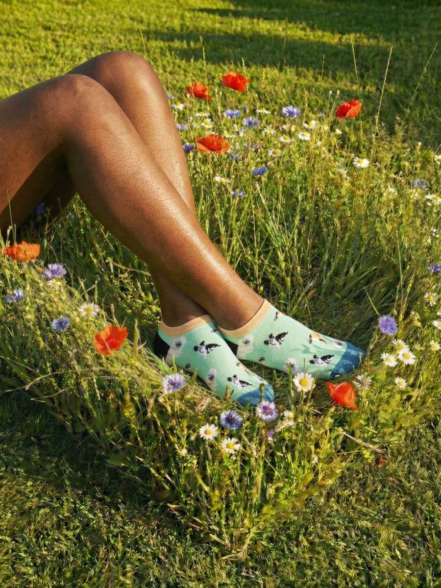 Sneakersocken Short Dog Squad von DillySocks
