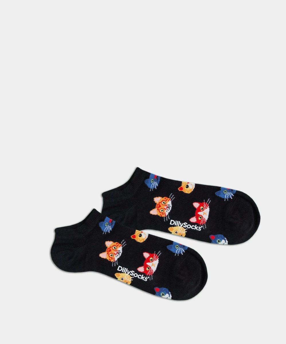 Short night kittens